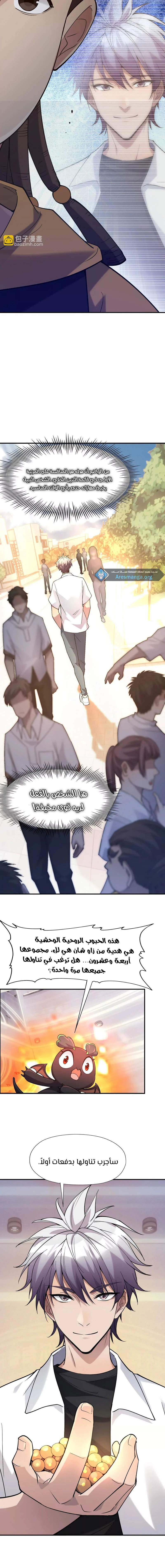 Chapter Image 4